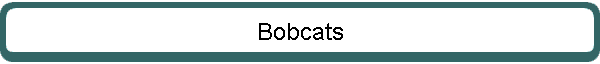 Bobcats