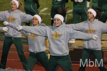 20091103 BLHS 210