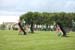 20090827 BLHS 069