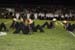 20091103 BLHS 102