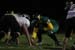 20091103 BLHS 017