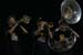 20090911 BLHS 089
